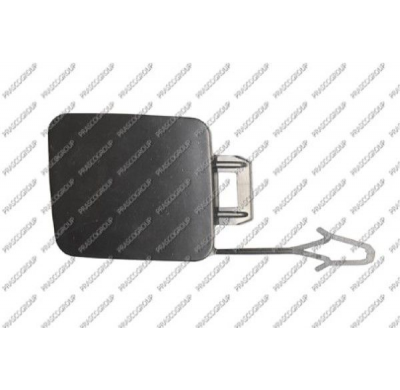 Tapagancho Delantero