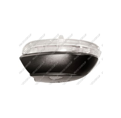 Piloto Y Luz Espejo Izquierdo