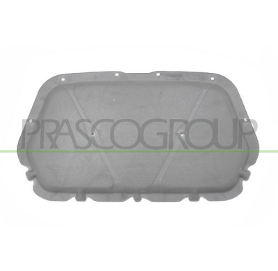 PANEL INSONORIZANTE CAPO