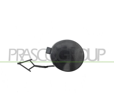 TAPAGANCHO DELANTERO