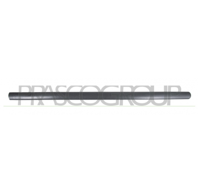 MOLDURA PUERTA DELANTERA IZQUIERDA NEGRO/GRANULADO