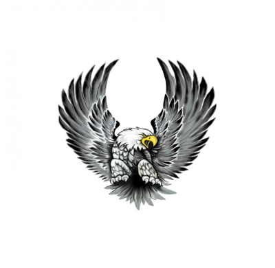 Set De Pegatinas Águilas - 2x 15x14,5cm