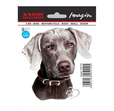 Auto Tatuaje Pegatina Pointer - 11x11cm