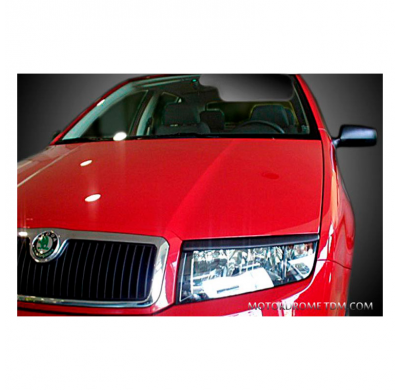 Pestañas De Faro Skoda Fabia 6y 1999-2007 (Abs)