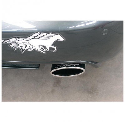 Escape Trasero Derecho 145x95 - Audi A4 Rs4 Quattro (Cabrio) 4.2i V8 (420 Cv) '06 -> '08 Supersprint