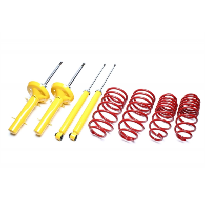 Suspensión Deportiva Ta Technix Rebaja: 80/60 Mm  Valido Para: Seat Ibiza Type 6k Año De Construcción 93 - 99 Seat Cordoba Type