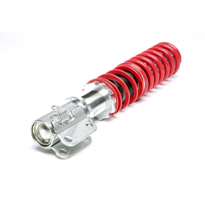 Suspensión Coilover Ta Technix - Versión Profunda  Valido Para: Seat Toledo I Tipo 1l, Año De Fabricación 1991 - 1999 Vw Golf Ii