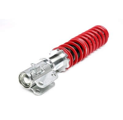 Suspensión Coilover Ta Technix - Versión Profunda  Valido Para: Vw Golf Ii Syncro, Tipo 19e-299 Año De Fabricación 1983 - 1992