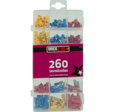 Caja Con 260 Terminales