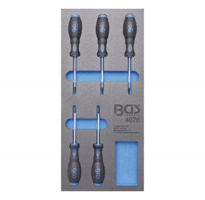 Módulo Destornilladores Torx T6 - T10
