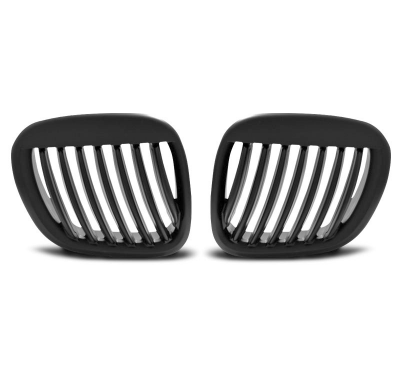 Parrilla Deportiva Bmw Z3 01.96-02 Negro