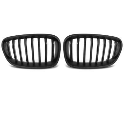 Parrilla Deportiva Bmw F20 F21 11-12.14 Matt Negro