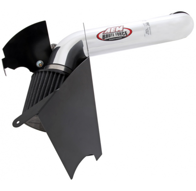 AEM Brute Force Intake System B.F.S.DODGE DAKOTA 05 4.7L