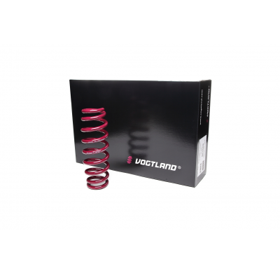 Muelles rebajados Vogtland VW  Golf IV 1J AÑO: 09.1997 - 10.2003 REBAJA: 50 / 50