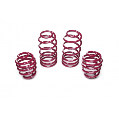 Muelles rebajados Vogtland VW  Golf IV 1J AÑO: 09.1997 - 08.2004 REBAJA: 40 / 40