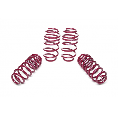 Muelles rebajados Vogtland VW  Golf V 1K AÑO: 08.2004 -  REBAJA: 35 / 35