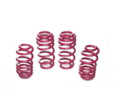 Muelles rebajados Vogtland Audi  A6 4F (C6) AÑO: 06.2004 - 03.2011 REBAJA: 40 / 40