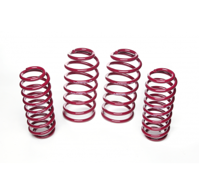 Muelles rebajados Vogtland Audi  TT 8N AÑO: 10.1998 - 05.2006 REBAJA: 30 / 30