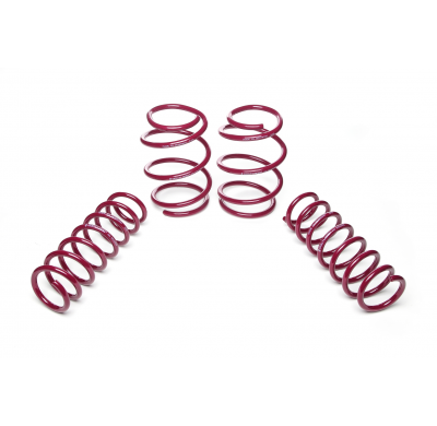 Muelles rebajados Vogtland BMW  5er, E39 5/D AÑO: 04.1996 - 06.2003 REBAJA: 30 / 30