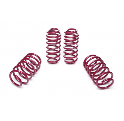 Muelles rebajados Vogtland VW  Golf V 1K, GTI AÑO: 10.2003 -  REBAJA: 25 / 25