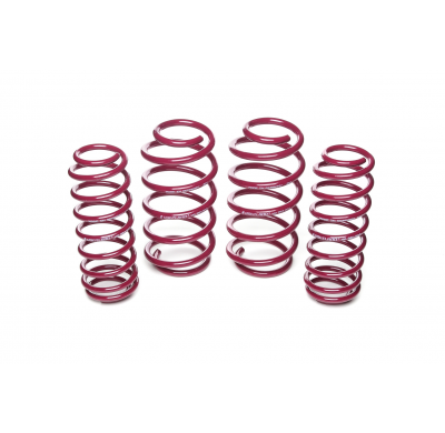 Muelles rebajados Vogtland VW  Polo 6R AÑO: 09.2009 -  REBAJA: 30 / 50