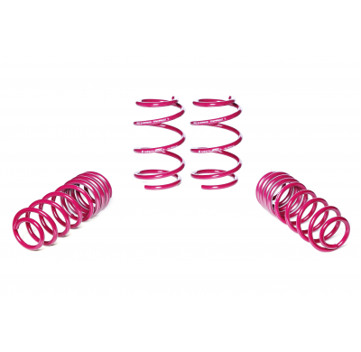 Muelles rebajados Vogtland Seat  Ibiza 6F, KJ AÑO: 06.2017 -  REBAJA: 35 / 25