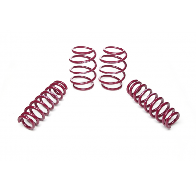 Muelles rebajados Vogtland BMW  2er, F87 M2 M3, M2 AÑO: 10.2015 -  REBAJA: 35 / 35