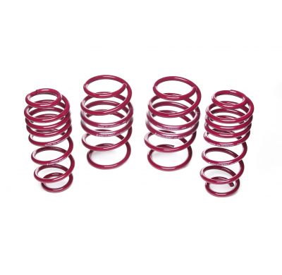 Muelles rebajados Vogtland Audi  TT 8J (8S) AÑO: 2014 -  REBAJA: 25 / 25