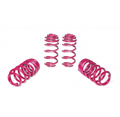 Muelles rebajados Vogtland Audi  A4 8W B9 (B8, B81) AÑO: 08.2015 -  REBAJA: 30 / 30