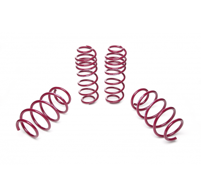 Muelles rebajados Vogtland Ford  Fiesta JHH AÑO: 2017 -  REBAJA: 20 / 20