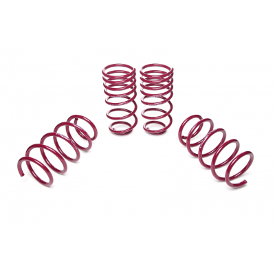 Muelles rebajados Vogtland Opel  Corsa D, S-D AÑO: 06.2006 -  REBAJA: 30 / 30