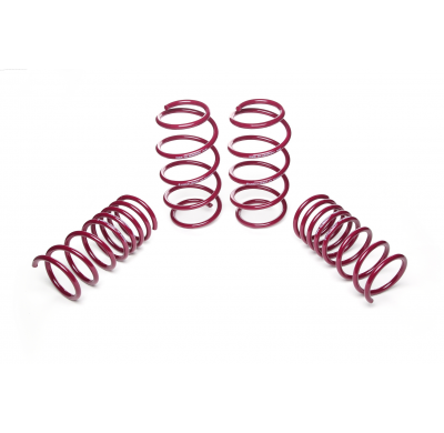 Muelles rebajados Vogtland Fiat  500 312 AÑO: 01.2011 -  REBAJA: 25 / 35
