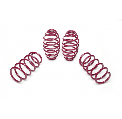 Muelles rebajados Vogtland Opel  Astra H AÑO: 04.2004 - 12.2009 REBAJA: 35 / 35