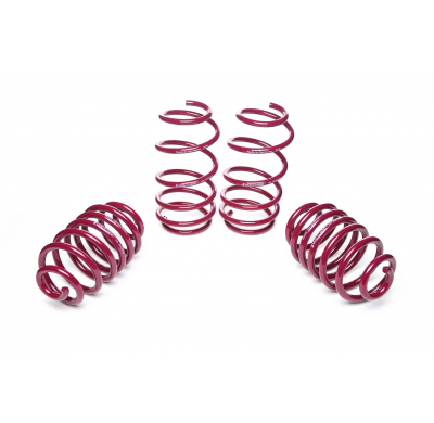 Muelles rebajados Vogtland Cadillac  ATS  AÑO: 2012 -  REBAJA: 25 / 30