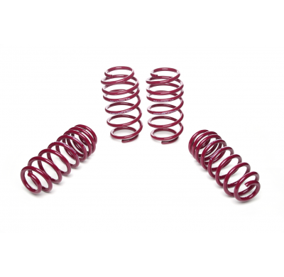 Muelles rebajados Vogtland VW  Eos 1F AÑO: 01.2006 -  REBAJA: 35 / 35