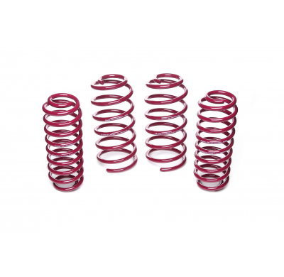 Muelles rebajados Vogtland VW  Golf IV 1J AÑO: 09.1997 - 10.2003 REBAJA: 50 / 50