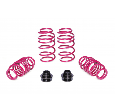 Kit muelles Ajustable Vogtland Seat  Leon KL, ST AÑO: 04.2020 -  REBAJA: 40 / 30 - 55