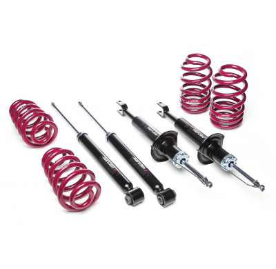 Kit amortiguadores + muelles Vogtland Seat  Exeo 3R, 6RN AÑO: 10.2001 -  REBAJA: 40 / 40