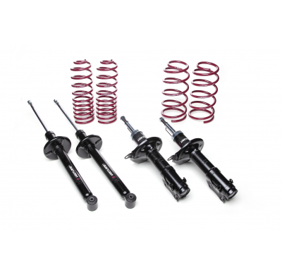 Kit amortiguadores + muelles Vogtland VW  Golf III 1EX0, 1E AÑO: 04.1995 - 06.2002 REBAJA: 35 / 35