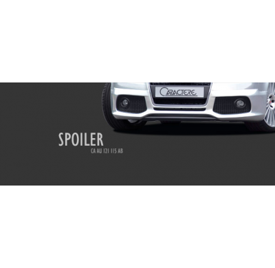 Añadido Delantero Para Vehículos Provistos De Antinieblas De Origen Audi A4 Berlina (2005 Nuevo Modelo) Caractere El Tiempo De E