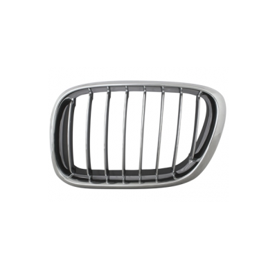 Bmw E53 X5 00-03 _Cromado