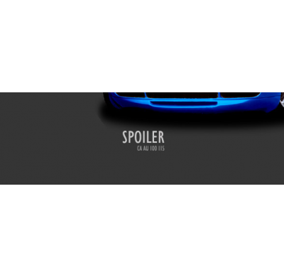 Spoiler Delantero  Audi A4 Avant (96) Y (97) Caractere El Tiempo De Espera De Este Producto Puede Ser De 1-2 Semanas Según Dispo