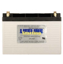 Batería De Lifeline Gpl-3100t Agm 12v/100ah Medidas: 327,8x167,2x235,5 Mm / 30,4 Kg