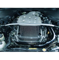 Tapa Motor Carbono  Nissan - 350z 03/- Z33
